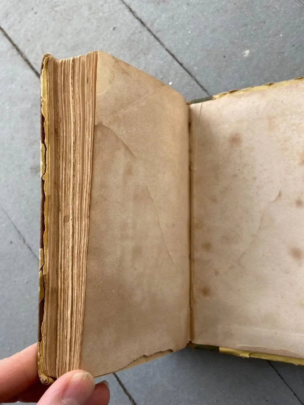 Antique 1847 Mary Howitt Sketches of Natural History Victorian Illustrated Book